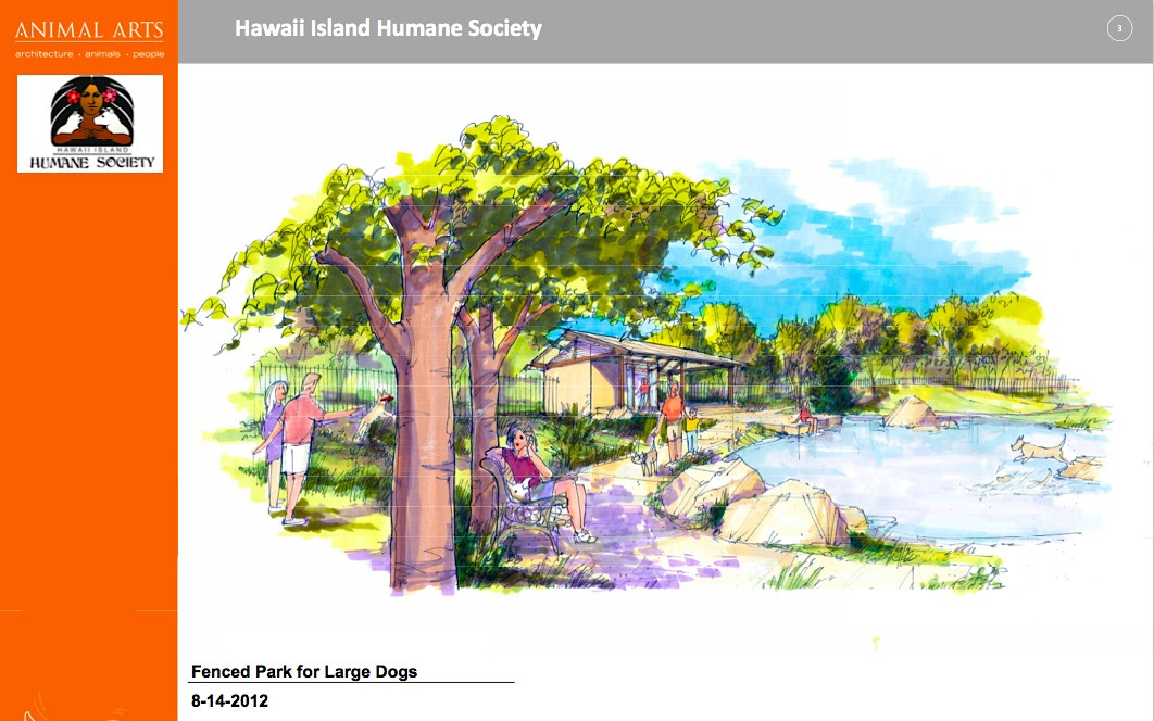 The Hawaii Island Humane Society's Big Leap Into the Future | Judy 