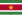 Flag of Suriname