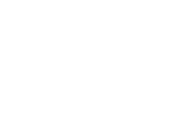 オススメ素材 ページ 2 レース素材専門サイト Da Lace ダ レース