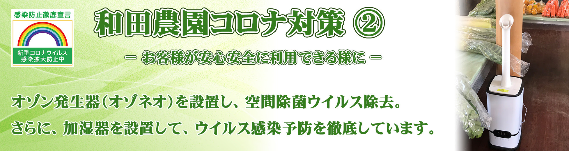 和田農園 イチゴ狩りと有機栽培野菜直売農園
