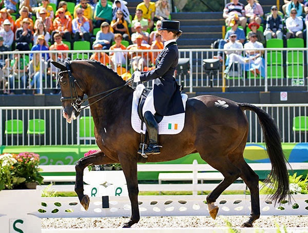 Judy Reynolds and Vancouver K. © 2016 Ken Braddick/dressage-news.com