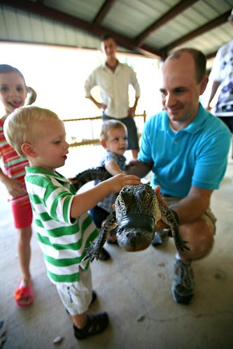 exotic animals