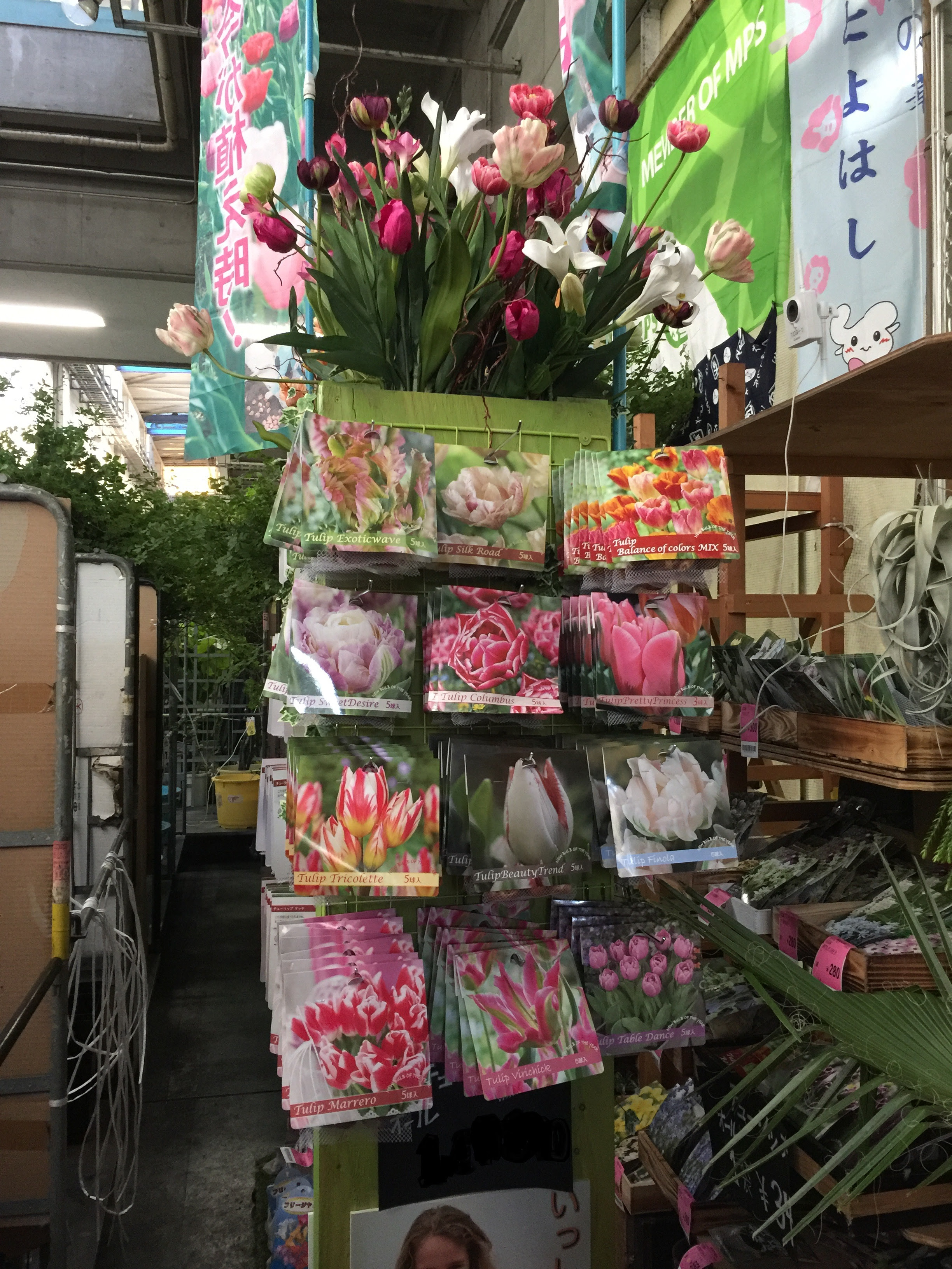 秋植え球根販売中 花市場の仲卸 大森花卉 おおもりかき
