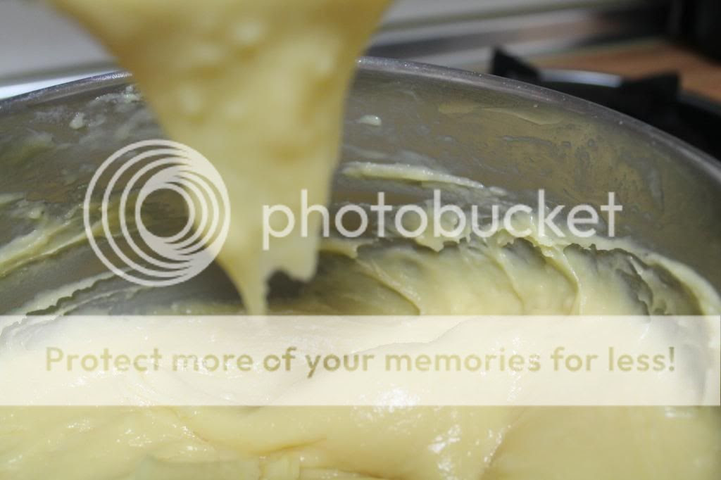  photo IMG_5643_zps70fbc56d.jpg