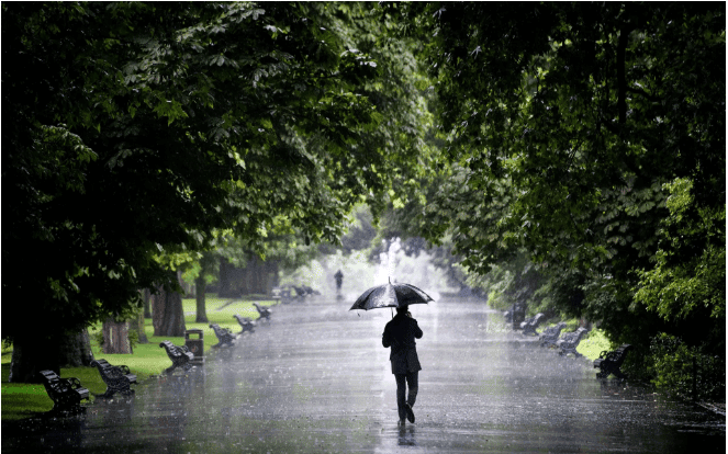 صور العالم 