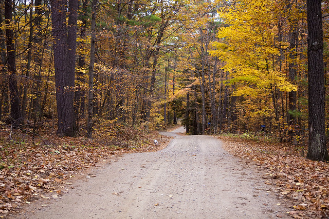 the road home
