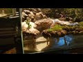アクアリウム 砂漠 187034-アクアリウム 砂漠