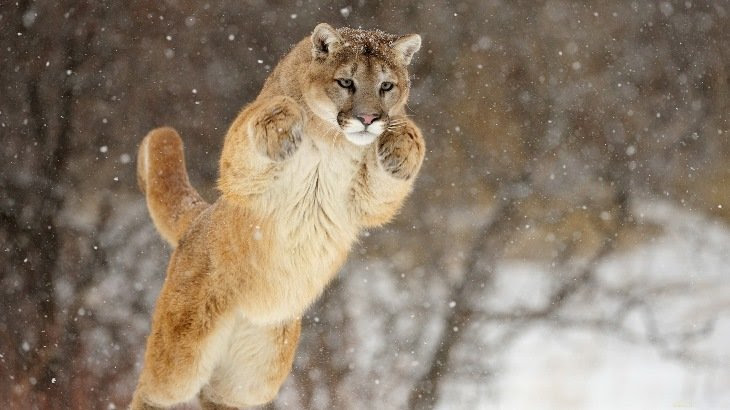 22 Beautiful Jumping Photography