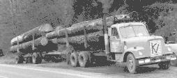 df-1a.jpg - 7,6 K