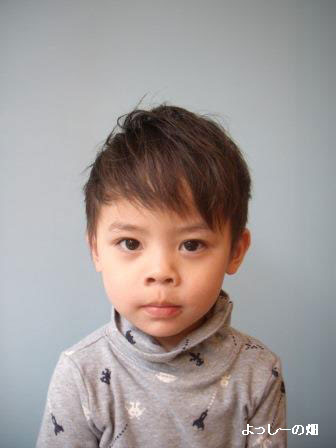 子供の髪型 キッズカット 男の子 おしゃれ ショート よっしーの畑