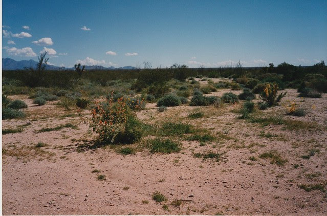 John Wilkie Rest Area, I-40