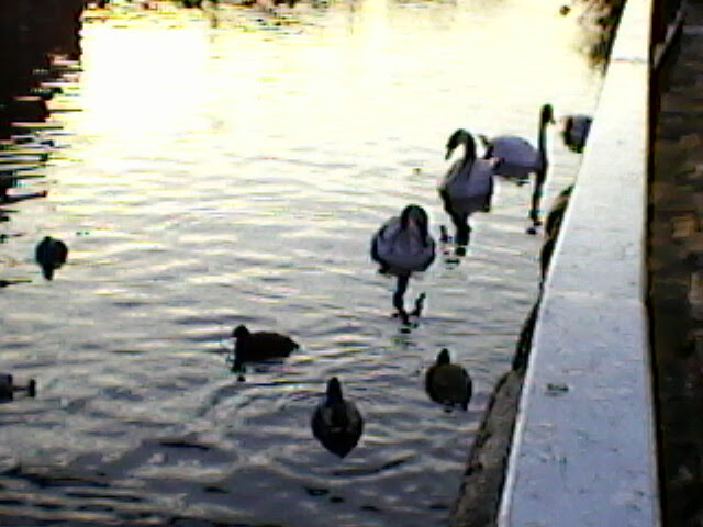 Photo-0015