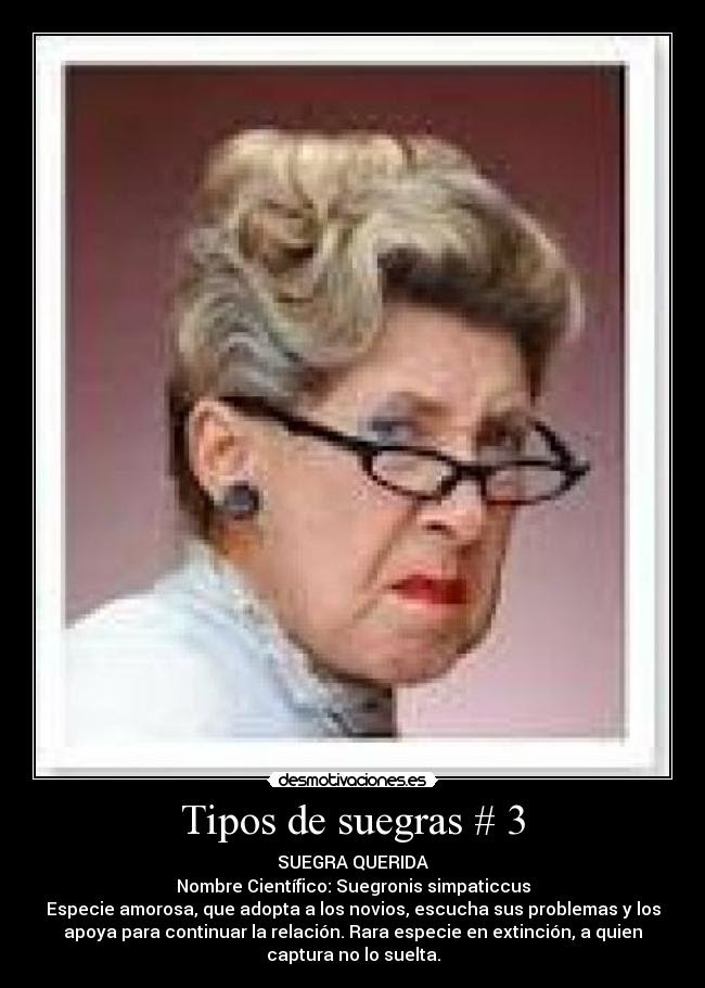 Imagenes Chistosas De Suegras Para Facebook Nocturnar 