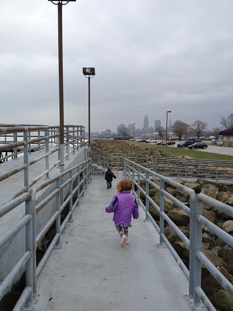Frozen Lake Erie from Edgewater Park