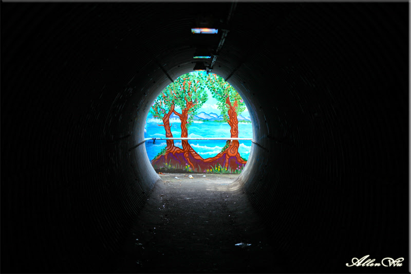 63/365: Rabbit Hole