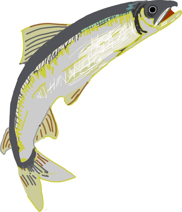 魚 イラスト 無料 ｇｉｆ画像