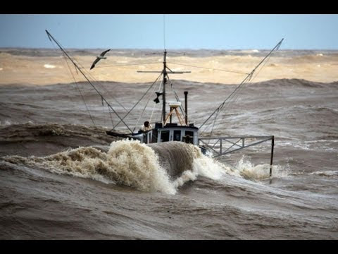 whale collides with fishing boat 2013 hq - youtube