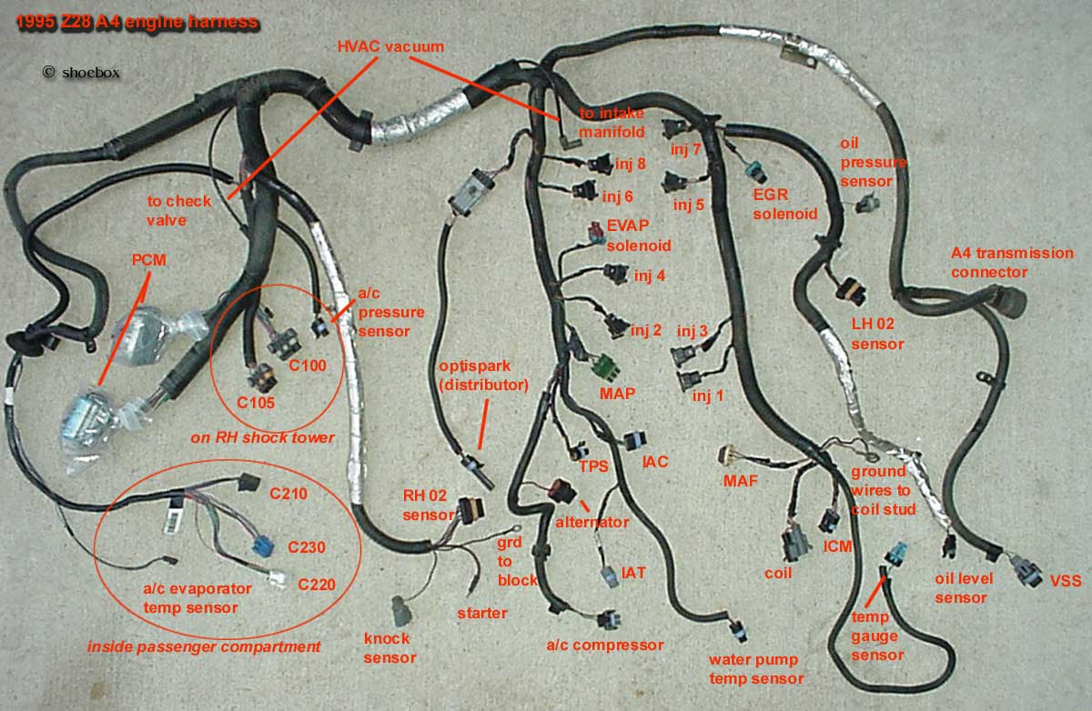 Replacing my engine wiring harness..whos done it? - LS1LT1 Forum : LT1