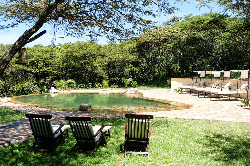 Cottars Camp Pool 