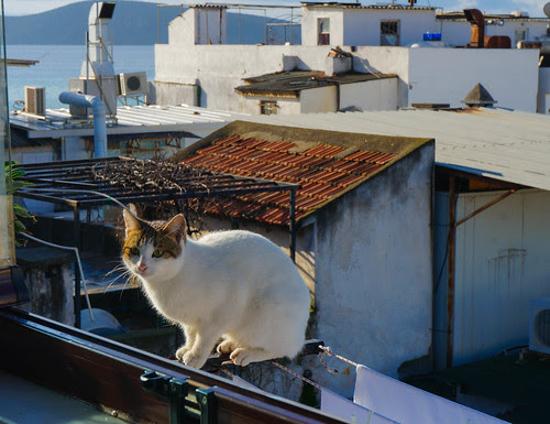 Bodrum, Turkey-13.jpg