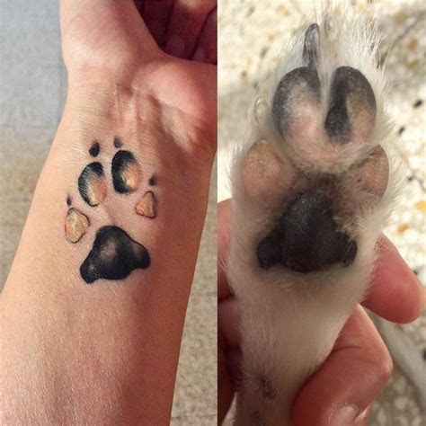 people  branding   dog paw tattoos