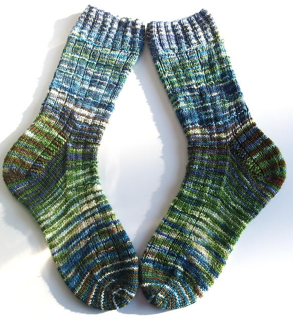 FatCatKnits sock blank socks III