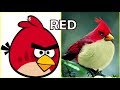 画像 鳥 キャラクター 309478-鳥 キャラクター かわいい