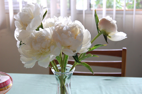 Peonies!