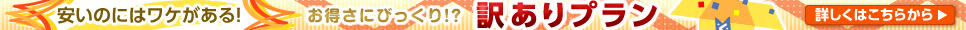 安いににはワケがある！お得さにぶっくり！？訳ありプラン