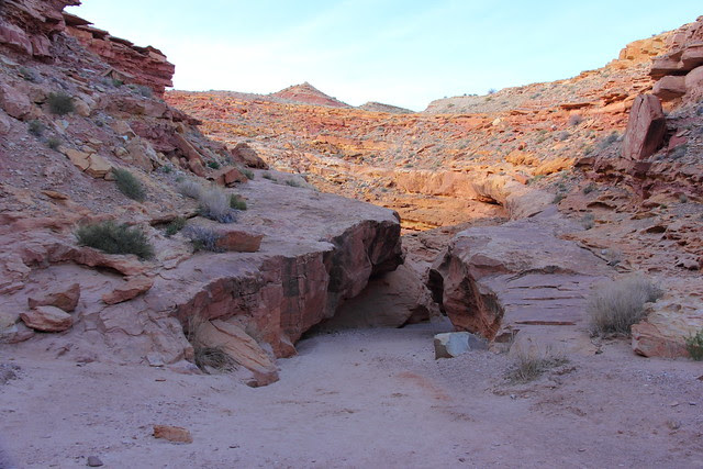 IMG_5429 Little Wild Horse Canyon