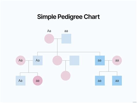  pedigree chart template in pdf free download templatenet