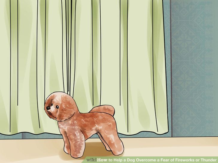 Help a Dog Overcome a Fear of Fireworks or Thunder Step 1.jpg