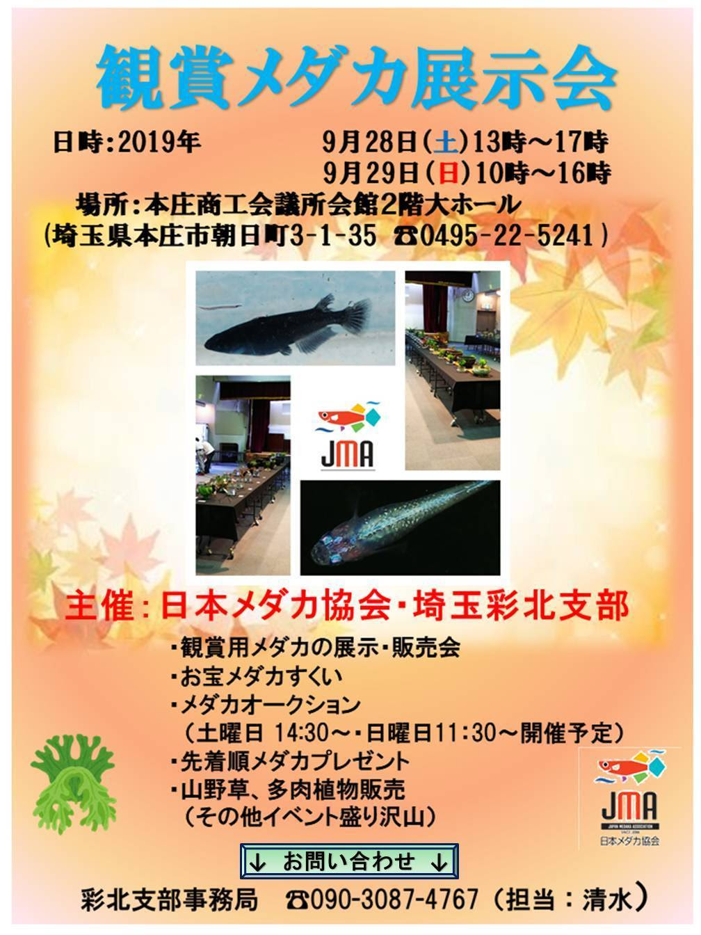 Event Schedule 彩鱗めだか