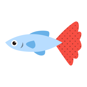 グッピーの飼育方法 水槽立ち上げ方法まとめ 製品選び 寿命 体長 繁殖 水温 代表的な種類など 丨 Aqua Data アクアデータ