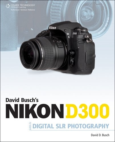 David Busch's Nikon D300s Guide to Digital SLR Photography (David Busch's Digital Photography Guides), by David D. Busch