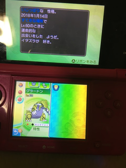 コンプリート グラードン 性格 ポケモンの壁紙