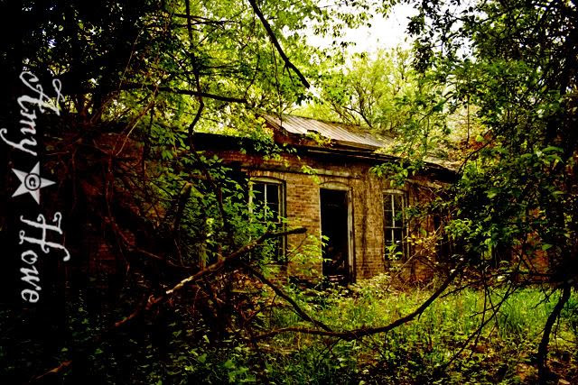 women of abaondonement,abandonment,amy howe