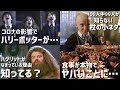 √ダウンロード ハリーポッター画像集 754054-ハリーポッター画像集