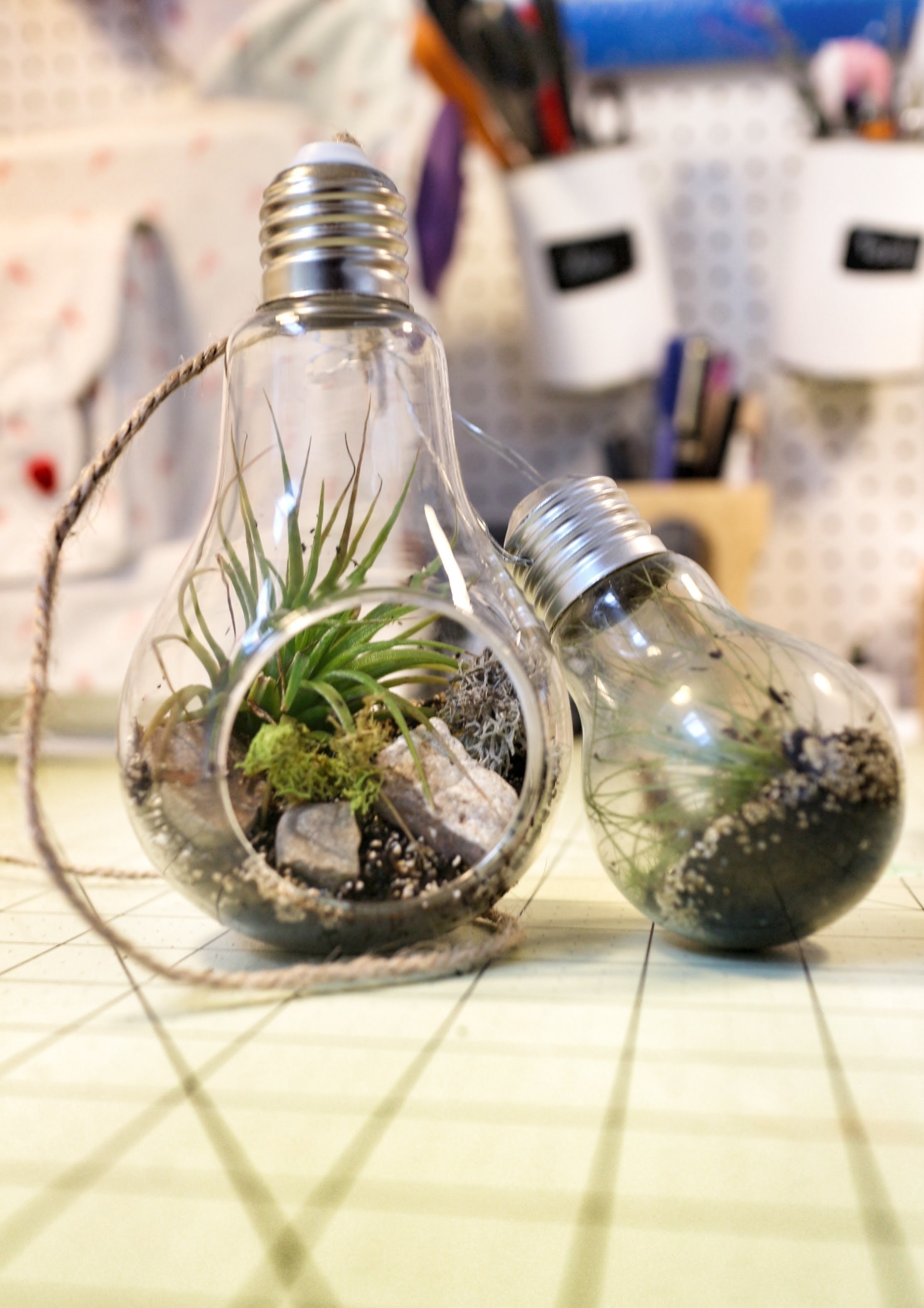 Lightbulb Terrarium · How To Make A Terrarium · Home + DIY on Cut Out