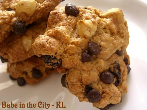 Chocolate & Raisin Oatmeal Cookies - closeup