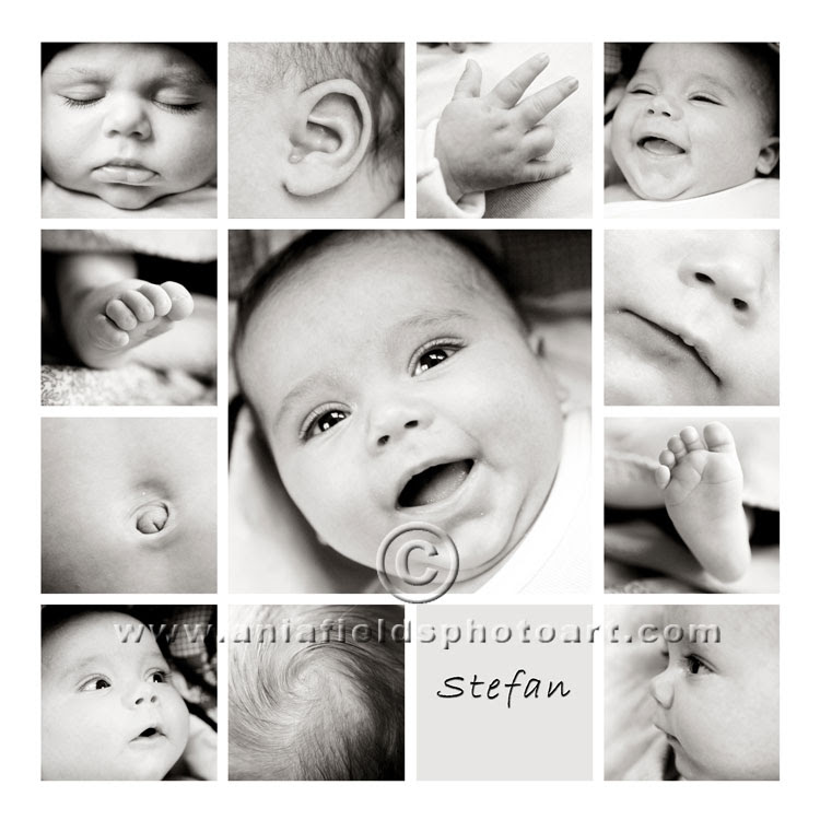Stefan Baby Photos Madison Wi Madison Wi Personal Brand Photography Senior Pictures Family Portraits