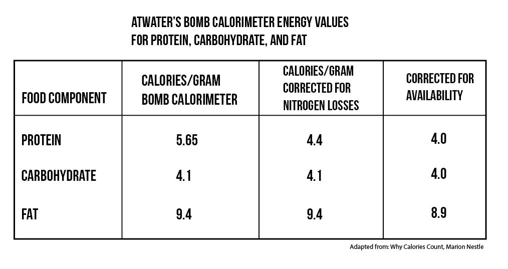 It's Not as Simple as Calories in Calories out but Calories Still Count. Here's Why. | Physiqonomics