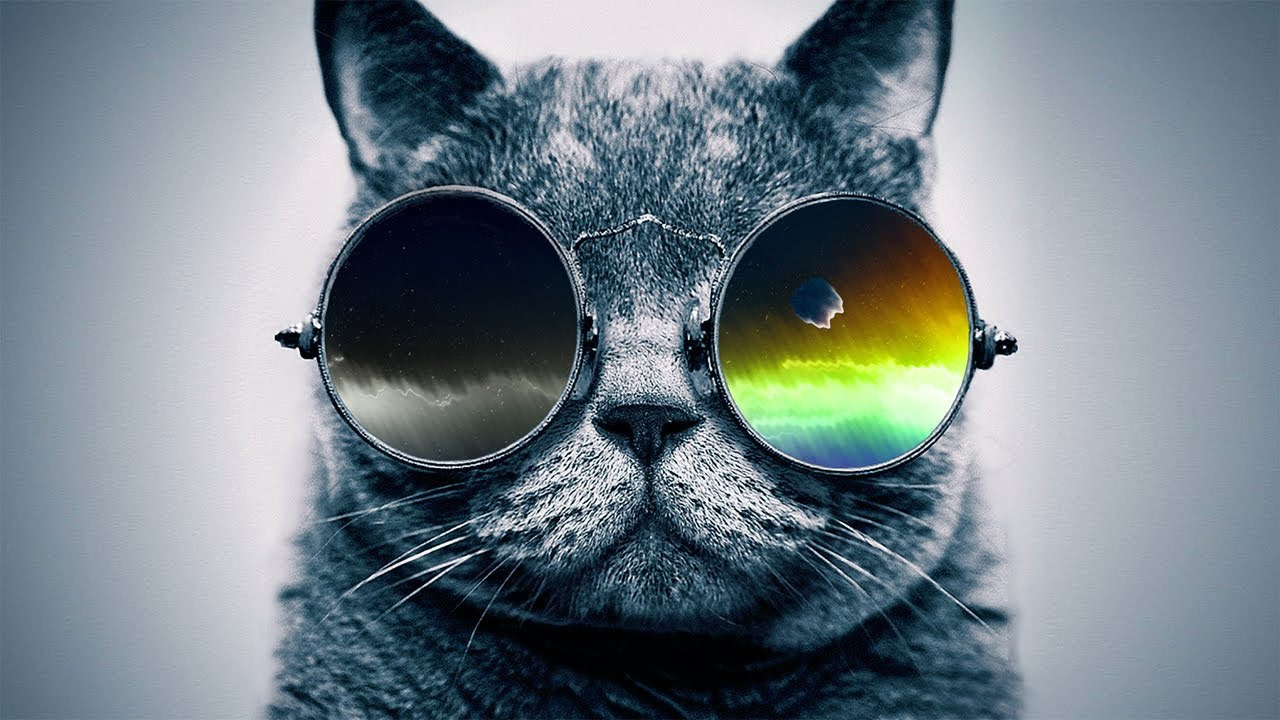  Funky Rap Hip Hop Instrumental Cool Catz Jazzy 