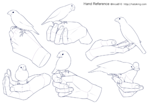 手のイラスト資料集 Hand Reference Hato King