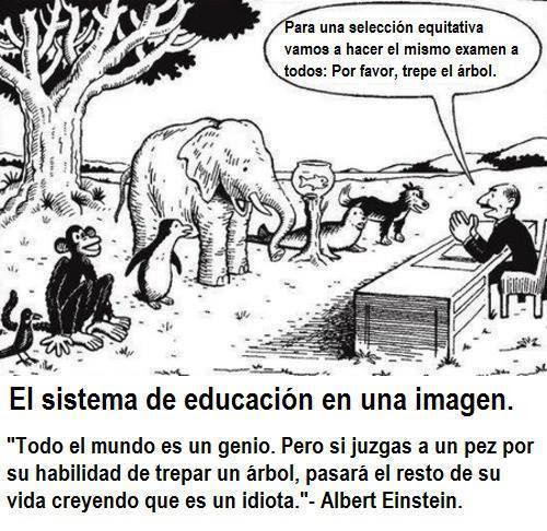 EL SISTEMA DE EDUCACIÓN EN UNA IMAGEN