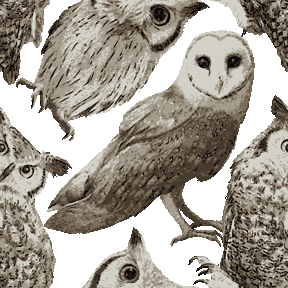 フクロウの壁紙用イラスト 条件付フリー素材集 スマホなど携帯電話対応