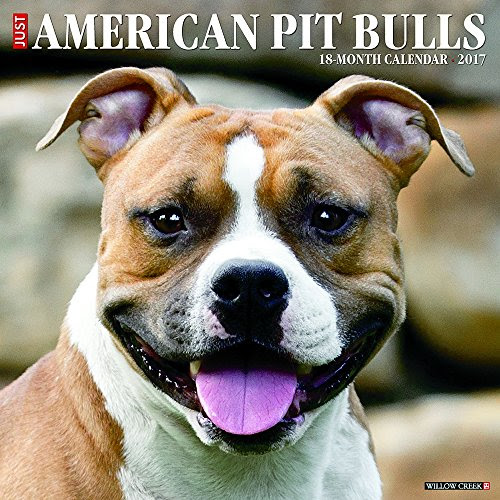 Just American Pit Bull Terriers 2017 Wall Calendar