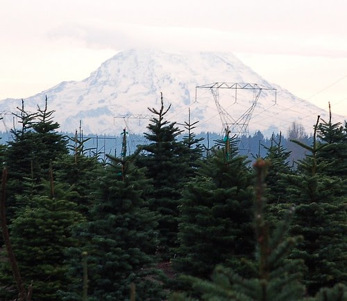 Rainier-1