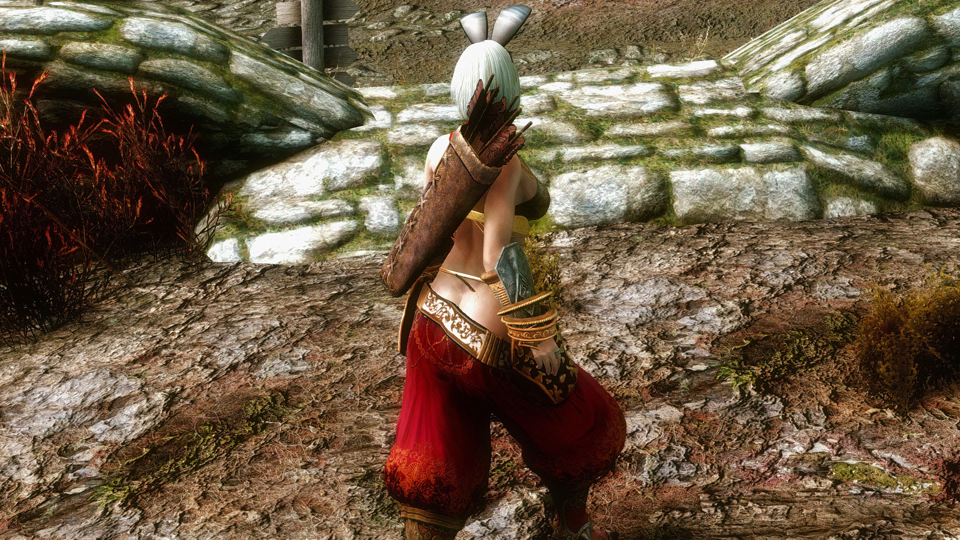 Polestar 北極星 ときどきにっき べーた Skyrim アーカイブ