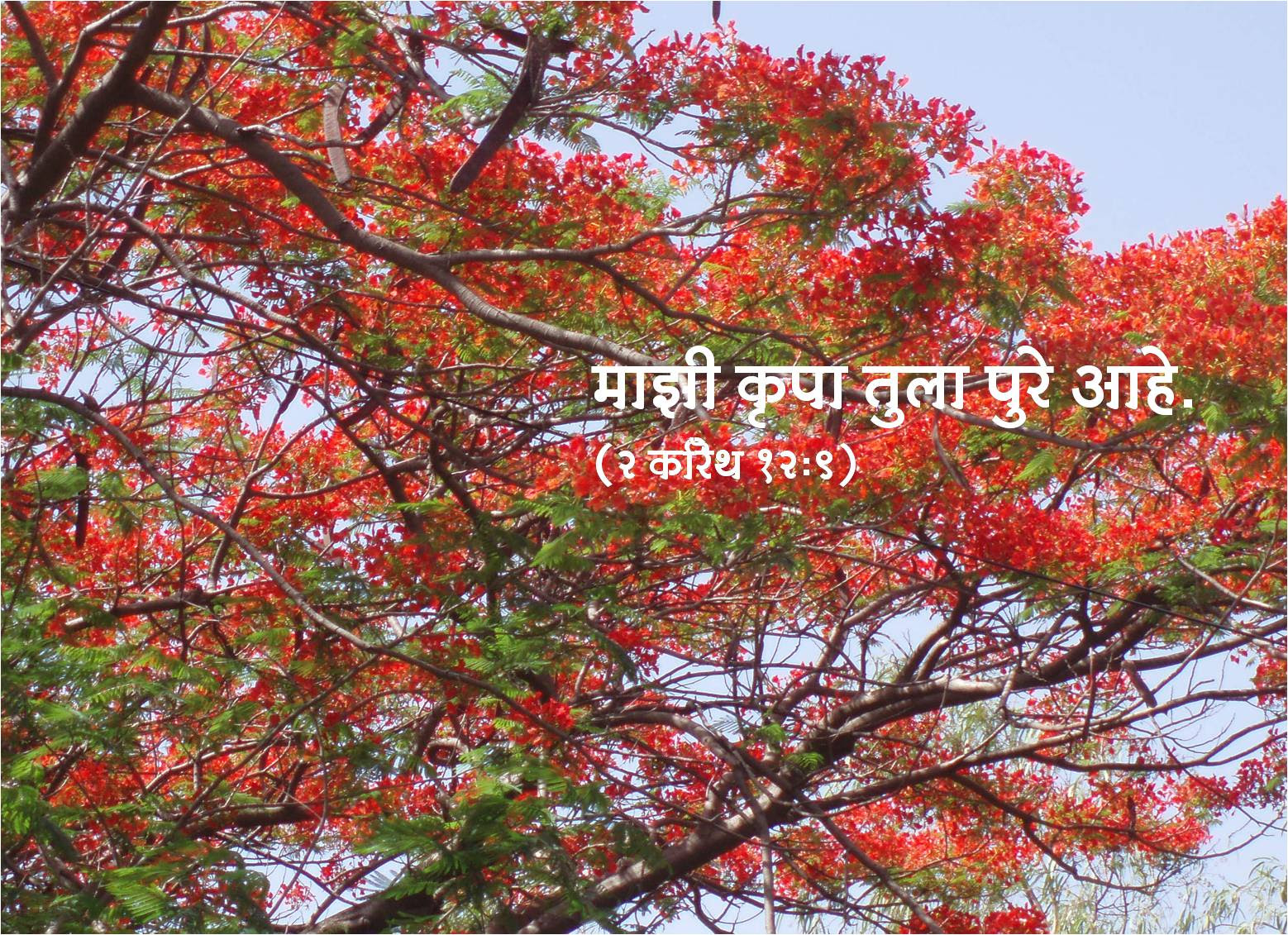 Marathi Bible Wallpaper Gallery